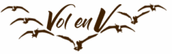 Logo Vol en V